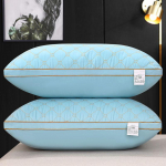 2 vnt. penkių žvaigždučių vie&scaron;bučio anti-plunksnų pagalvė, skirta miegamojo pagalvės &scaron;erdies apsaugai gimdos kaklelio slankstelių pagalvė namuose 2PCS