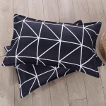 Patalynės mada Spausdinta pagalvės užvalkalas Namų pagalvės užvalkalas Studentų bendrabučio pagalvės užvalkalas 48X74cm 2pcs