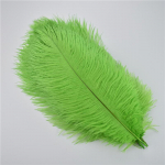 10 vnt./Let 30-35cm Stručio plunksnos rankdarbiams Baltos plunksnos vazoms Vestuvių dekoravimas Rankdarbių aksesuarai &bdquo;Pasidaryk pats&ldquo; Plume obuolių žalios spalvos