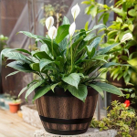 1 vnt vintažinio viskio statinės vazonėlis, derva dryžuoto ra&scaron;to sodo vazonas su drenažo anga ir lėk&scaron;te, atsitiktinio stiliaus plastikinis ovalus konteineris žolelėms 1 Pack