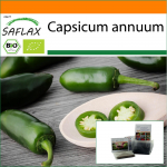 SAFLAX Sodas mai&scaron;elyje &ndash; Ekologi&scaron;ki &ndash; Aitri čili pipirai &ndash; Ankstyvasis Jalapeno &ndash; 20 sėklų &ndash; Su substratu tinkamame mai&scaron;elyje &ndash; Capsicum annuum