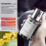 Automobilinis elektrinis oro difuzorius aromaterapijai vyrams auk&scaron;tos klasės oro gaiviklis automobilio aksesuarai ilgalaikis dezodoravimas &scaron;viesa fragra G1I9