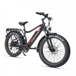 JOBOBIKE RObin 250W Battery 48V 14.5Ah BrakeTektro brake system Shimano 7 speed Tyre CST/Kenda 26 x 4.0 44kg