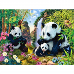 5D &bdquo;pasidaryk pats&ldquo; deimantinis kryžminio dygsnio &bdquo;Panda&ldquo; &scaron;eima su bambuko deimantų siuvinėjimu visi&scaron;kai apvaliu deimantu 20X30CM