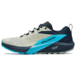 Salomon Sense Ride 5 Patogūs Patvarūs Kvėpuojantys Žemi Bėgimo Bateliai Vyrams Bėgimo Bateliai Smėlio Spalvos Juodi Mėlyni 474585 45⅓