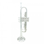 Trimitas Bb B Flat Brass Exquisite su kandikinėmis pir&scaron;tinėmis
