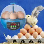 6 kiau&scaron;inių inkubatorius, temperatūros reguliavimas, rankinis kiau&scaron;inių vartymas, pauk&scaron;čių perykla pauk&scaron;čiams Blue Manual