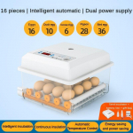 50 W buitinis visi&scaron;kai automatinis inkubatorius Mažas skaitmeninis ekranas Egg Hatcher Sumanus nuolatinės pastovios temperatūros inkubatorius Type C