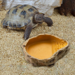 Veisimo dėžės vandens baseinas Patvari perinti buveinė, didelė talpa, daugiafunkcinis žaidžiantis vandens gyvūnas S