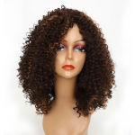 LISI HAIR Afro moterų madingi trumpi garbanoti perukai i&scaron; sintetinio pluo&scaron;to blondinai garbanotas perukas moterims ruda