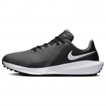 Vyrams skirti sportbačiai Nike Infinity Golf Next Nature Wide FN0565-001 38.5