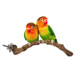 1 rinkinys Naminių papūgų pauk&scaron;čių stovėjimo lazdelė Parakeet laipiojimo stovėjimo &scaron;akos Žaislas kramtomas narvo priedas Koreloms, Meilės pauk&scaron;čiams