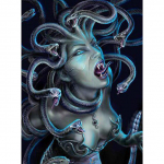 5D &bdquo;pasidaryk pats&ldquo; deimantų tapyba Abstrakti moters gyvačių deimantų siuvinėjimo mozaikos tapyba 20X30CM