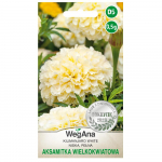 Marigold Tagetes Kilimanjaro White sėklos 0,5 g Tagetes sėklos - WegAna