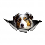 Automobilio lipdukai Australų aviganiui, paslėpti skylėse, Vandeniui atsparūs netaisyklingos formos automobilio dekoravimo lipdukai 15cm-Longest Side