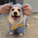Corgi drabužiai rudeniui ir žiemai, sutir&scaron;tinti, &scaron;ilti, vidutinio ir mažo dydžio &scaron;unims, Bi&scaron;onui, &Scaron;nauceriui, liemenė, &Scaron;ibos &scaron;uniui, žiemos debesis M (9-7 kg) beige