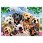 Les Tr&eacute;sors De Lily [Q9200] - Magnet m&eacute;tal 'Chiens' multicolore (selfie) - 9x6. 5 cm
