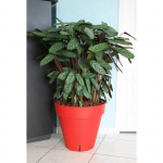 RIVIERA Pot de fleurs Loft avec r&eacute;serve d'eau - Rond - &Oslash; 50 x H 46 cm - Rouge