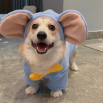 Corgi drabužiai rudeniui ir žiemai, sutir&scaron;tinti, &scaron;ilti, vidutinio ir mažo dydžio &scaron;unims, Bi&scaron;onui, &Scaron;nauceriui, liemenė, &Scaron;ibos &scaron;uniui, žiemos debesis L (15-9.5 kg) beige