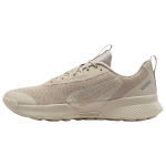 Nike Juniper Trail 3 Bėgimo takais batai Vyri&scaron;ki Smėlio spalvos FQ0904-204 42 gray