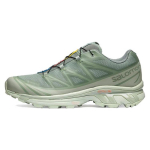 Salomon XT-6 GORE-TEX Desert Sage Unisex sportbačiai Žali Lily-Pad Laurel-Wreath L47292000 47⅓