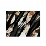 Stray Kids Randai/Sorikun -Japonų ver.(A,B,C vers.) TYPE C