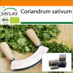 SAFLAX - Sodas mai&scaron;elyje - Ekologi&scaron;kas - Kalendra - 150 sėklų - Su substratu tinkamame stovimame mai&scaron;elyje - Coriandrum sativum