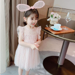 Mergaičių pūkuoti torto suknelės tinklelio sijonas siuvinys raukiniai vaiki&scaron;kas Kalėdų vakarėlio kostiumas gimtadienio tiulio suknelė vaiki&scaron;ki drabužiai 140 rožinė