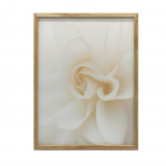 Eterinis Rožės Baltumas Eterinis Rožės Baltumas, 30X40 Cm, Aliuminio Rėmas Juodas, Matinis Popierius 230 Gsm 36