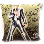 Johnny Hallyday [L2210] - Coussin d&eacute;co 'Johnny Hallyday' sur sc&egrave;ne - 32 cm