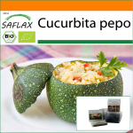 SAFLAX Sodas mai&scaron;e &ndash; Ekologi&scaron;ka &ndash; Cukinija &ndash; Tondo di Nizza &ndash; 5 sėklos &ndash; Su substratu tinkamame stovimame mai&scaron;elyje &ndash; Cucurbita pepo