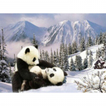 &bdquo;Pasidaryk pats&ldquo; deimantų tapyba &bdquo;Animal China Giant Panda&ldquo; kryžminio dygsnio pilnas cirkonio inkrustacijos deimantinis siuvinėjimas 20X30CM