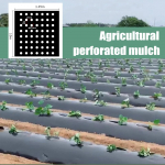 Plastikinė perforuota mulčias PE žemės ūkio izoliacinė perforuota plėvelė juoda