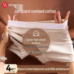 FitonTon Teen Boys' Pure Cotton Antibacterial Boxer Briefs (4-Pack) L (90-110 lbs)