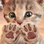 Viso kvadratinio apvalaus grąžto deimantinio dažymo rinkiniai, su katėmis, &bdquo;pasidaryk pats&ldquo; kryželiu namų dekoras 20*20 cm