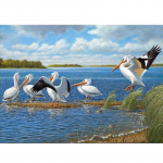 Visi&scaron;kai apvalios mozaikos &bdquo;pasidaryk pats&ldquo; 5D deimantinis siuvinėjimas &bdquo;Bird Pelicans&ldquo; deimantinis pie&scaron;imas kryželiu siuvinėti cirkonio akmenys 20X30CM