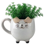 Les Tr&eacute;sors De Lily [A2499] - Cache pot c&eacute;ramique 'Chats' gris clair - 11x10x14 cm