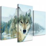 Trijų dalių paveikslų spaudinys ant drobės Wolf Animal Nature