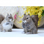 Artificial Standing Squirrels Statue Sculptures For Home, Garden, kids children room Decor Ornament