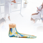 Anatomijos pėdos modelis Žmogaus skeletas Medicininis Praktinis su skaitmeniniais ženklais tyrimams Flatfoot