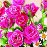 Spalvingas Deimantinis 5D PASIDARYK PATS Tapyba Siuvinėjimas Gyvūnas Gėlė Paveikslas Rožė Mozaika Drugelis Kryželiu Sienų Namų Dekoracija Full Round 20x20CM