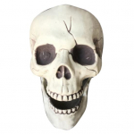 Baisus plastikinis atviros mados burnos kaukolės vakarėlis namuose Skeletas vaiduoklio namų dekoravimas Helovino rekvizitas balta
