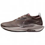 Nike Pegasus Trail 5 GORE-TEX Ironstone Velvet Brown Vyri&scaron;ki sportbačiai Cave-Stone College-Grey FQ0908-012 42 gray