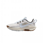 Nike Pegasus Trail 5 Žemi Bėgimo Bateliai Moteri&scaron;ki Metalinio Sidabro Sportbačiai DV3865-103 37.5 metalo sidabro spalvos