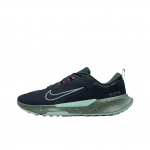 Nike Juniper Trail 2 GTX V2 Seaweed Mint Foam Clay Green Vyri&scaron;ki sportbačiai Mint-Foam-Clay-Green HM9734-302 42