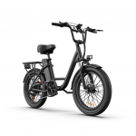 URLIFE-E20 20 x3 Elektrinis dviratis su plačiomis padangomis 250W Variklis 48V 13AH Baterija 80-100KM Atstumas Idealiai tinka kelionėms į darbą ir nuotykiams juoda