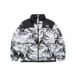 THE NORTH FACE FW22 Pūkinė striukė Vyri&scaron;ka NJ1DN57A S black