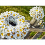 Deimantų tapyba Gėlės Kalnų kri&scaron;tolinio akmens mozaikos siuvinėjimas Daisy Gėlės Kryžminio dygsnio mozaikos deimantų namų dekoravimas Full Round 20x30CM