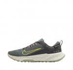 Nike Juniper Trail 2 GORE-TEX Vyri&scaron;ki bėgimo bateliai HM9734-200 Dydis EU 44.5 pilka spalva