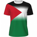 Mada Palestinos Vėliavos Futbolo Mar&scaron;kinėliai Tendencija Vasara Trumpomis Rankovėmis Nacionalinis Herbas 3D Spausdinti Sportiniai Mar&scaron;kinėliai Laisvi Kvėpuojantys Vir&scaron;ūnės M